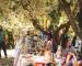 Bonfire Market torna sotto gli ulivi della Caffarella
